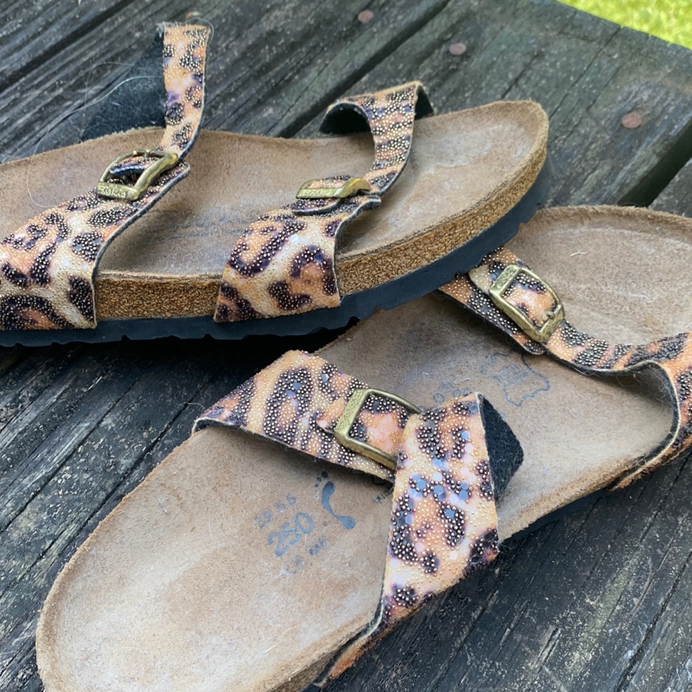 Lightly used animal print